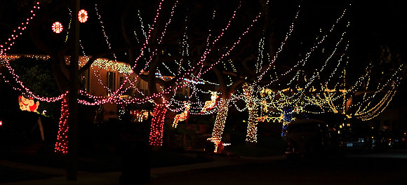 Christmas Lights