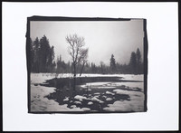 Woski Pond  - Platinum Palladium Print with an 8x10 film negative