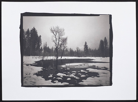 Woski Pond  - Platinum Palladium Print with an 8x10 film negative