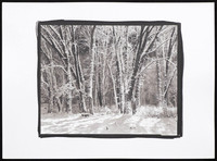 El Capitan Meadow - Platinum Palladium Print with an 8x10 film negative