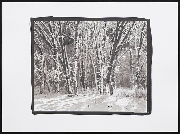 El Capitan Meadow - Platinum Palladium Print with an 8x10 film negative