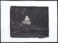 Survivor  - Platinum Palladium Print with an 8x10 film negative