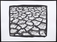 Olancha Mudcracks - Platinum Palladium Print with an 8x10 film negative
