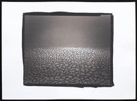 Empty  - Platinum Palladium Print with an 8x10 film negative