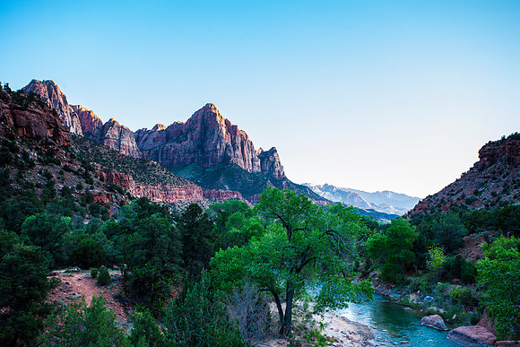 The Watchman