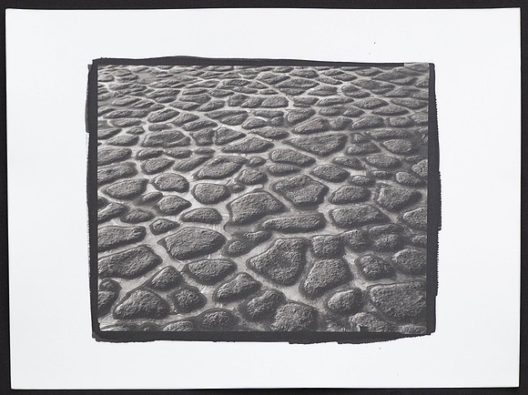 Frozen Mudcracks - Platinum Palladium Print with an 8x10 film negative
