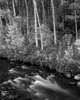 Bishop Creek Rapids - Platinum Palladium Print with an 8x10 film negative