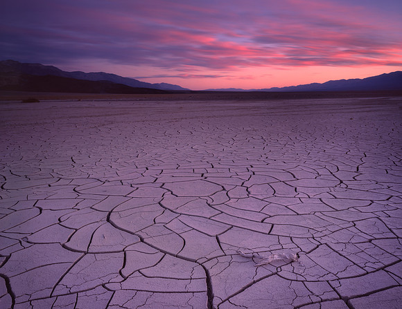 Cracked Earth