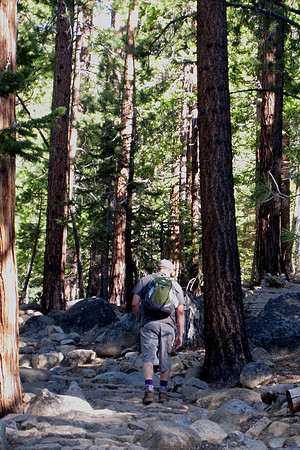 Half Dome Hike