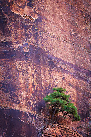 Zion