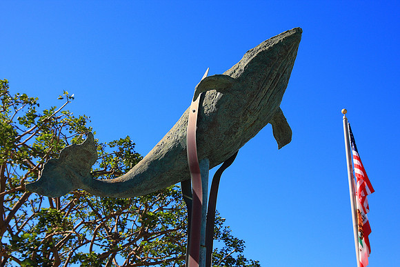 Point Vicente Interpretive Center