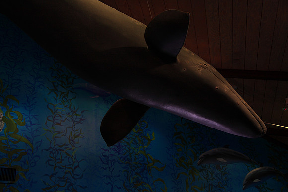 Point Vicente Interpretive Center