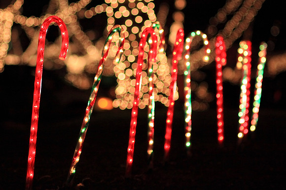 Christmas Lights