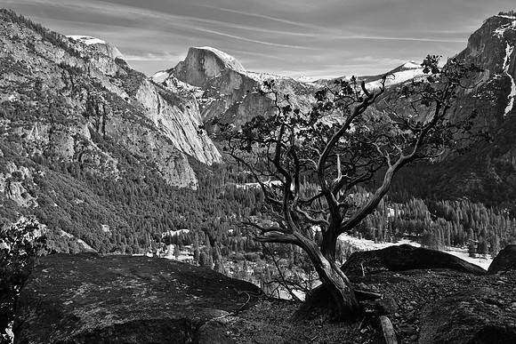 Half Dome