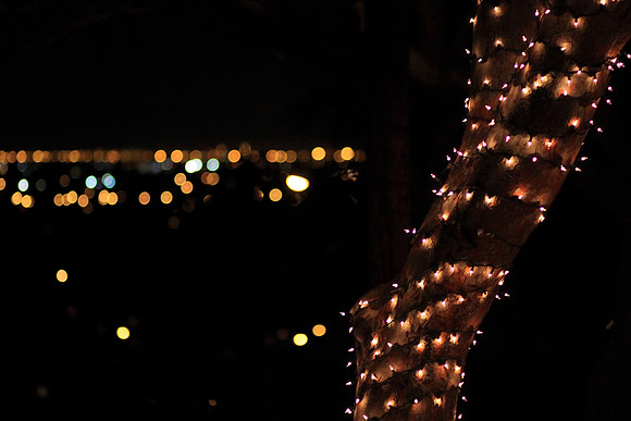 Christmas Lights