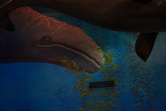 Point Vicente Interpretive Center