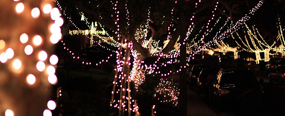 Christmas Lights