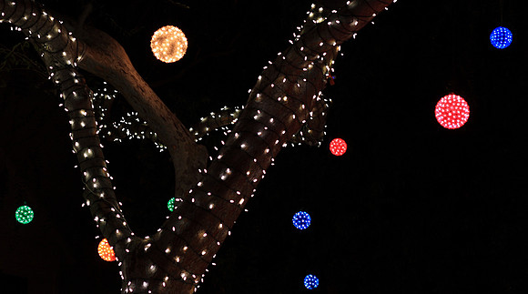 Christmas Lights