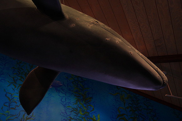 Point Vicente Interpretive Center