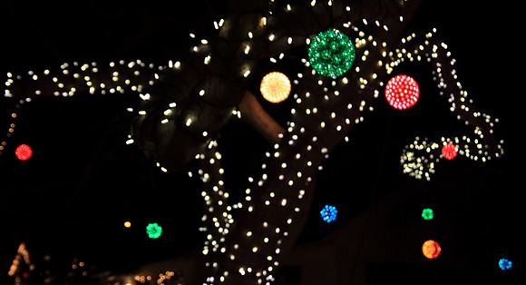 Christmas Lights
